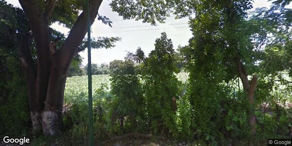 CONSEJO MUNICIPAL DE SEGURIDAD PÚBLICA